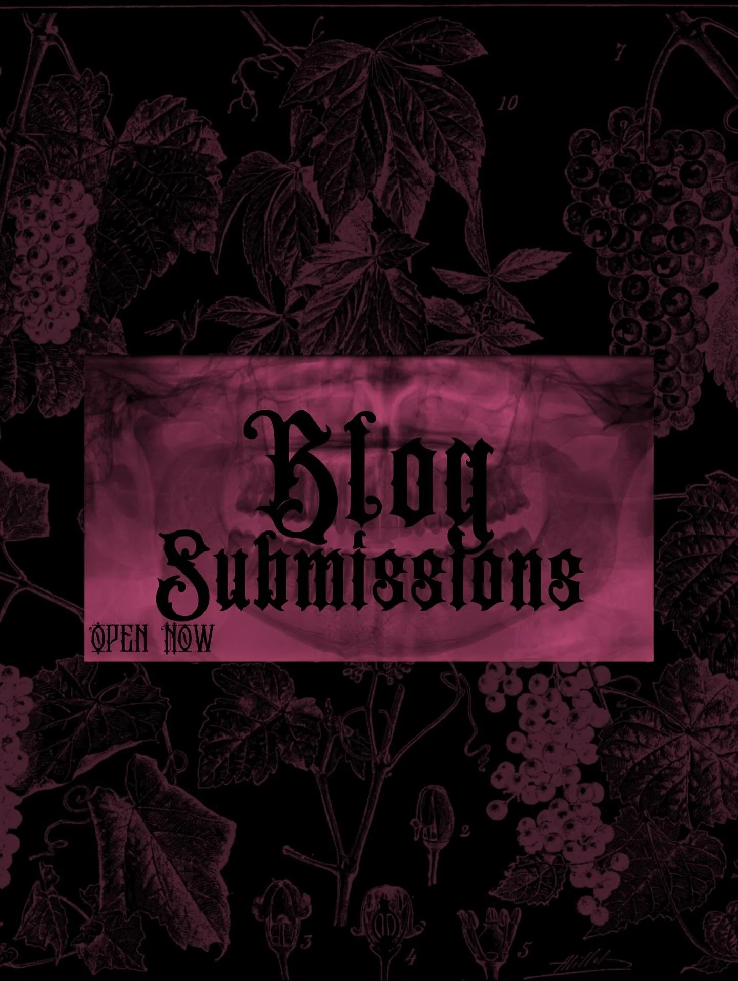 submit to our blog to be featured in our newsletter
/ submissions open 24/7 /
form can be found in bio (if you really wanna get vinegary)