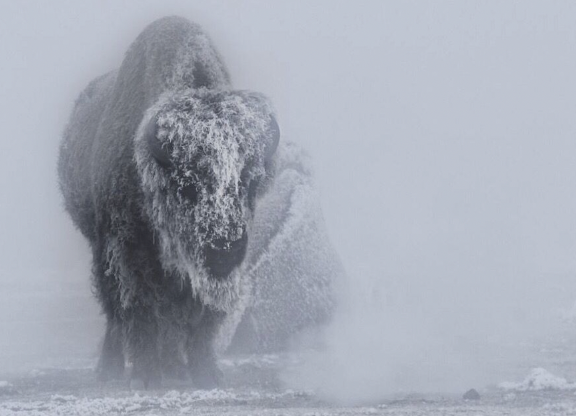 Hashimotos and it’s connection to disconnect.