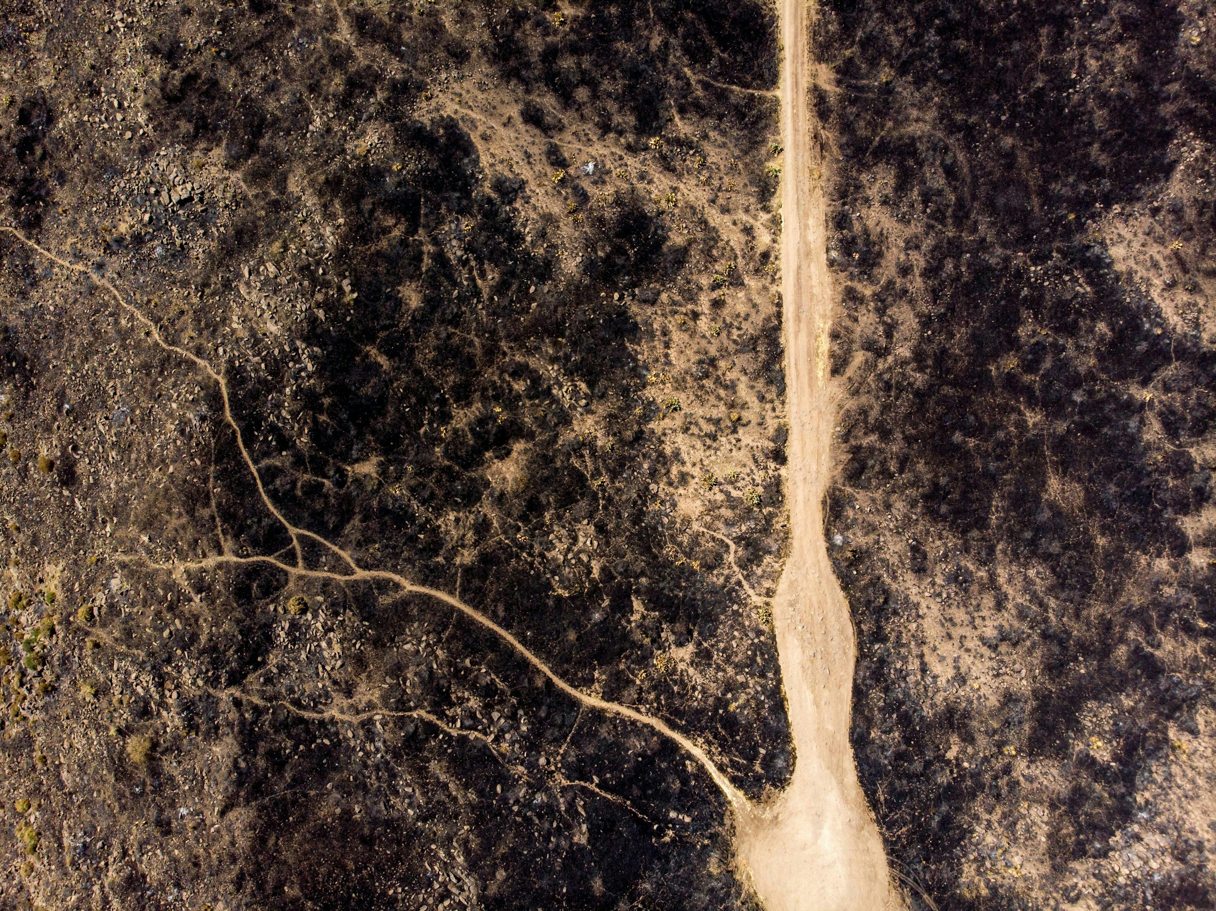 Integrated Physiology - The Body As One System