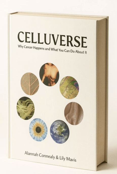 Screen Shot 2026-01-19 at 9.25.21 PM.png