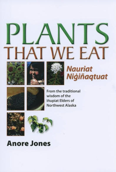 Screen Shot 2026-01-19 at 9.09.50 PM.png