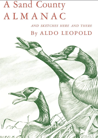 Screen Shot 2026-01-19 at 9.31.43 PM.png