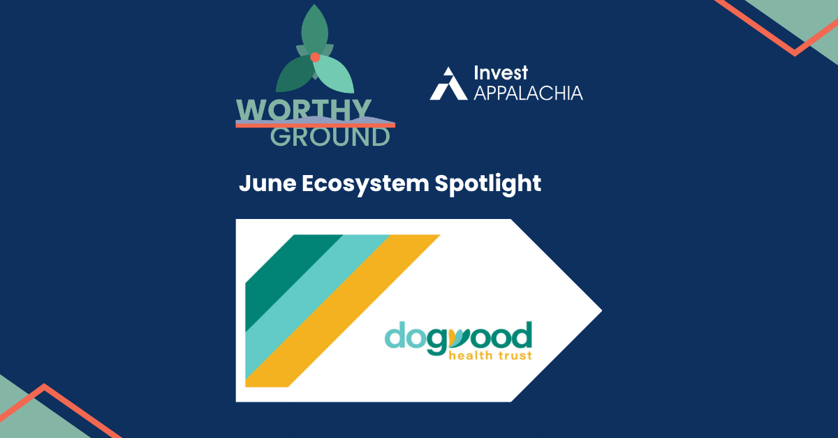 Worthy Ground Ecosystem Spotlight: Dogwood Health Trust's Hurricane Helene Playbook