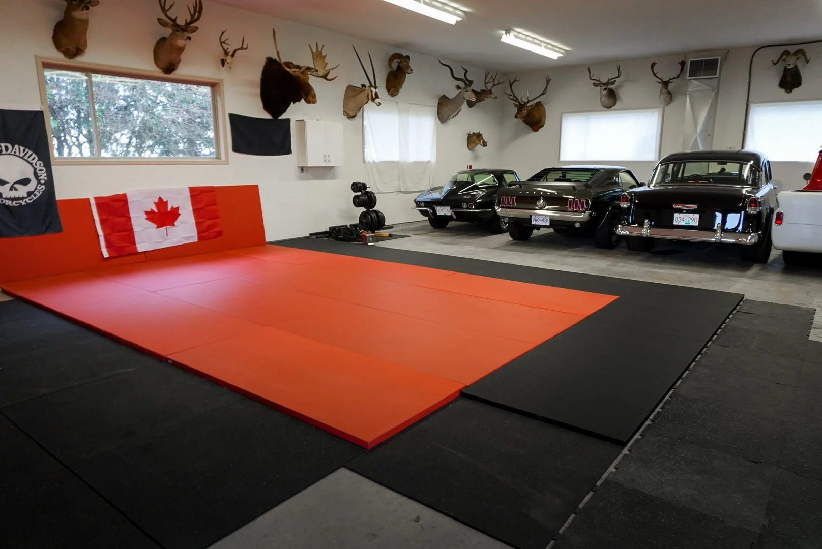 DMK Performance Brazilian Jiu Jitsu, Personal Training in Ladner, BC
