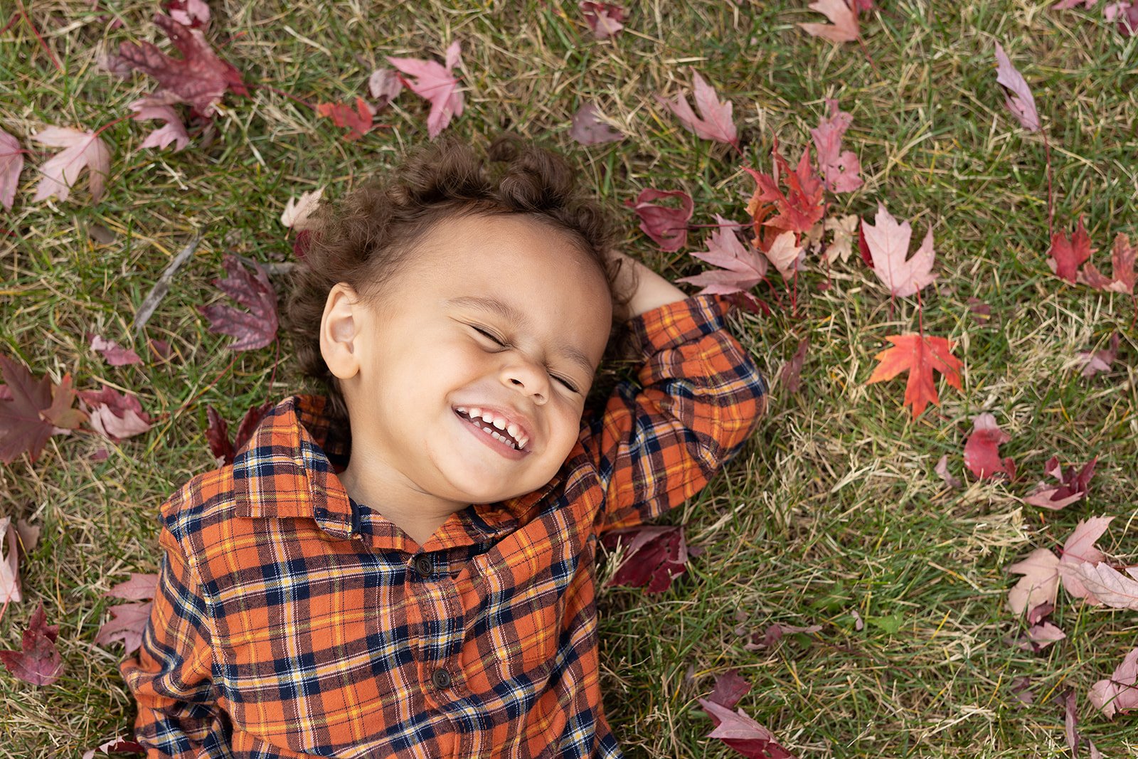 A young boy with curly hair, wearing a plaid shirt, lying on the grass surrounded by fallen autumn leaves, smiling and laughing.