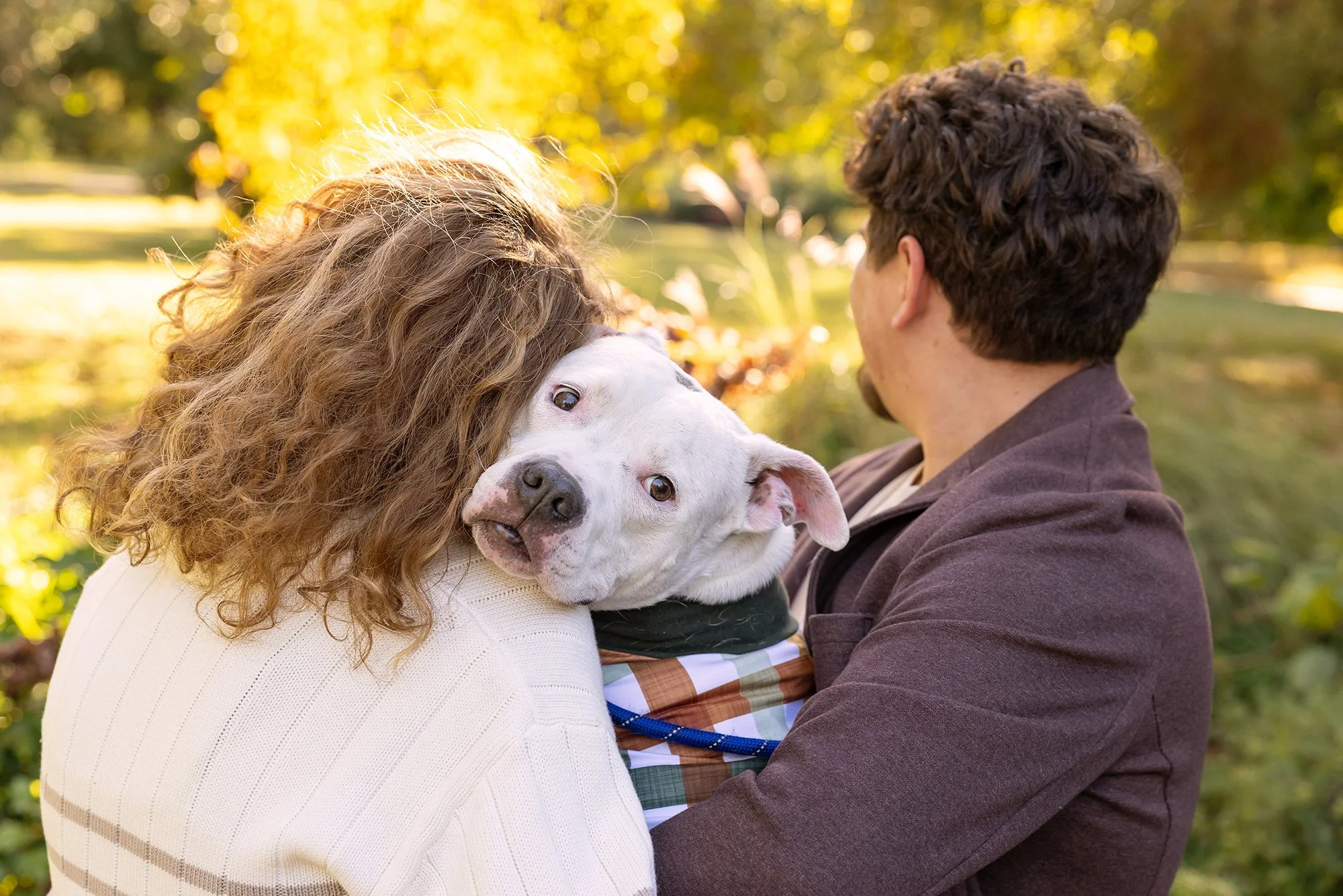 A couple with a dog in a park during fall, the woman has curly hair and is holding her dog, a white pit bull, close to her face. The man is facing away and is wearing a brown jacket.