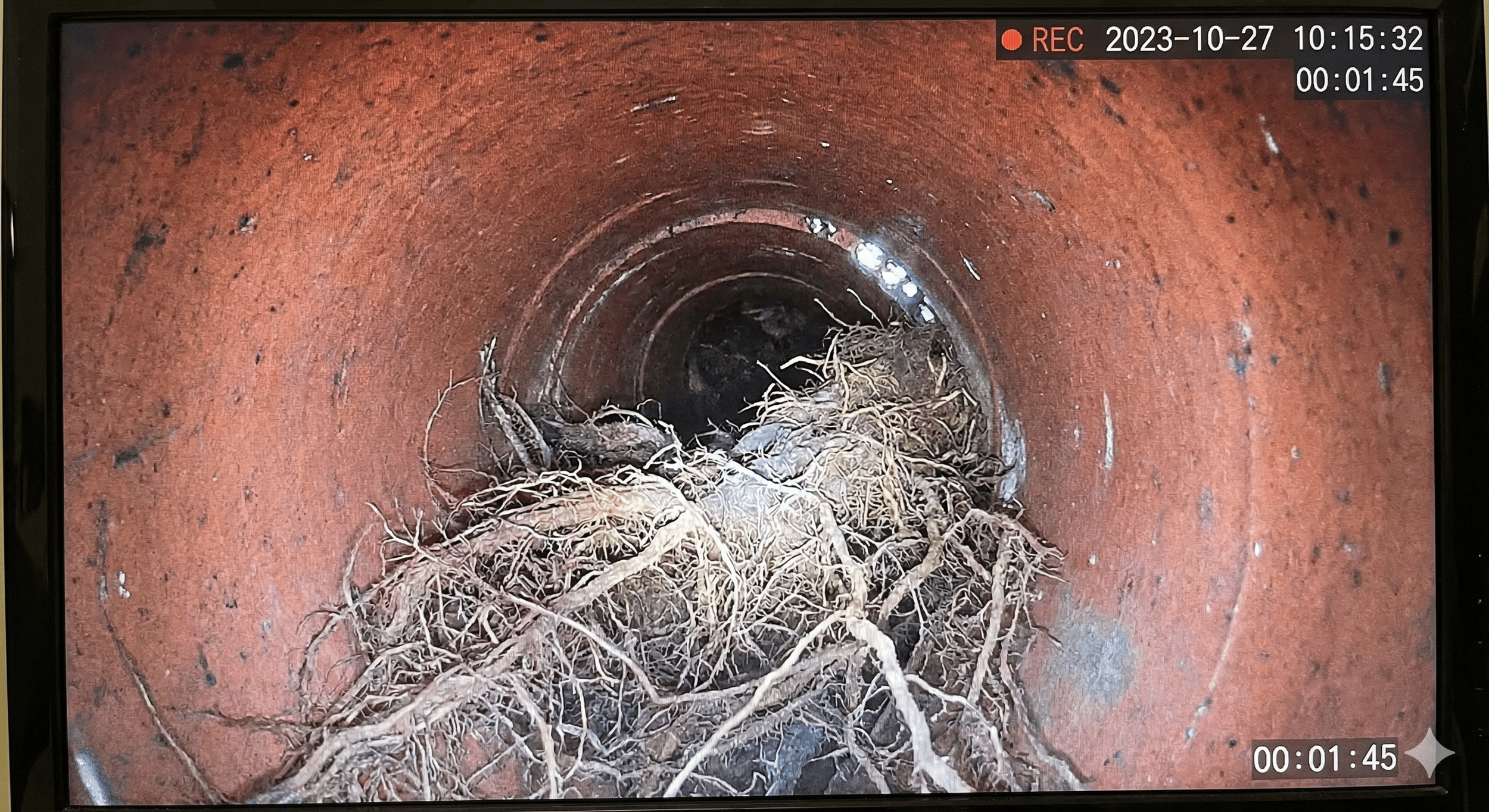Inside a rusty pipe with a clump of roots and debris at the opening.