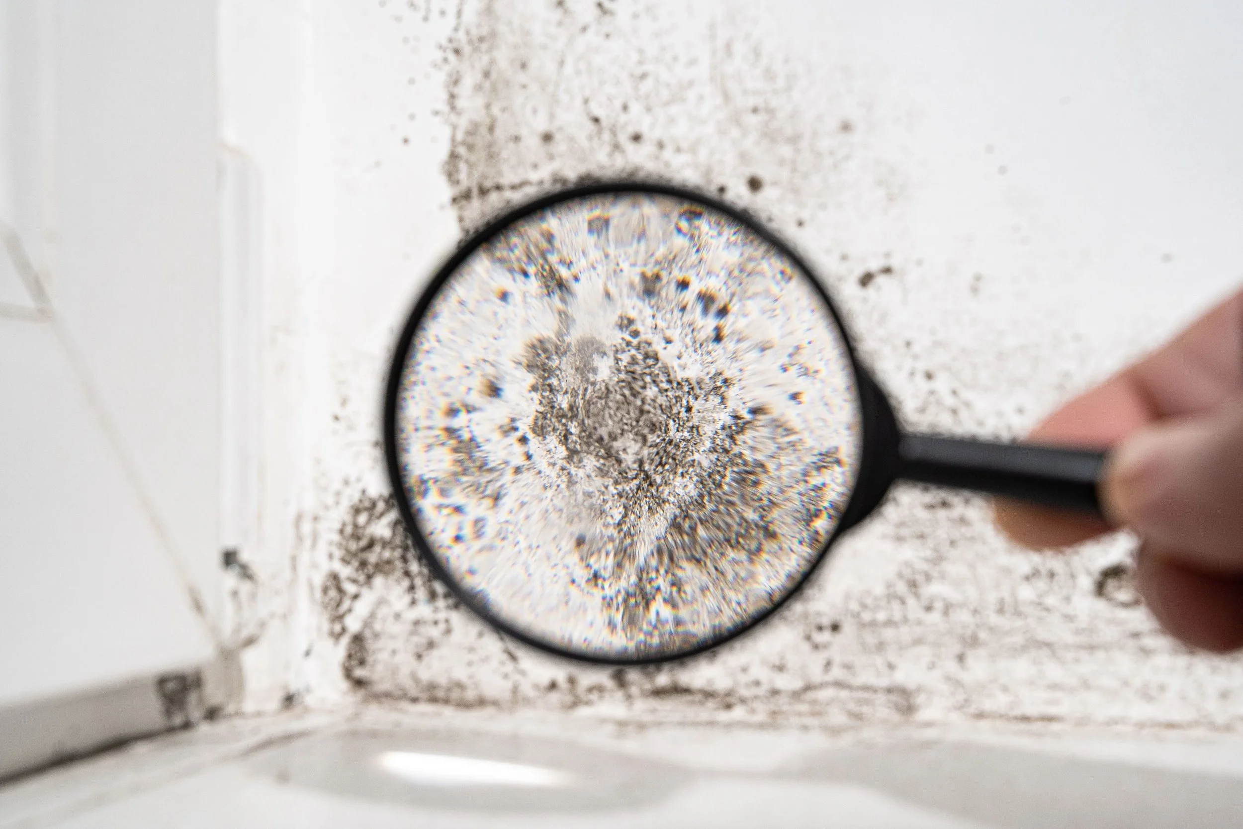 A hand holding a magnifying glass over a white surface with black dirt or mold particles scattered around.