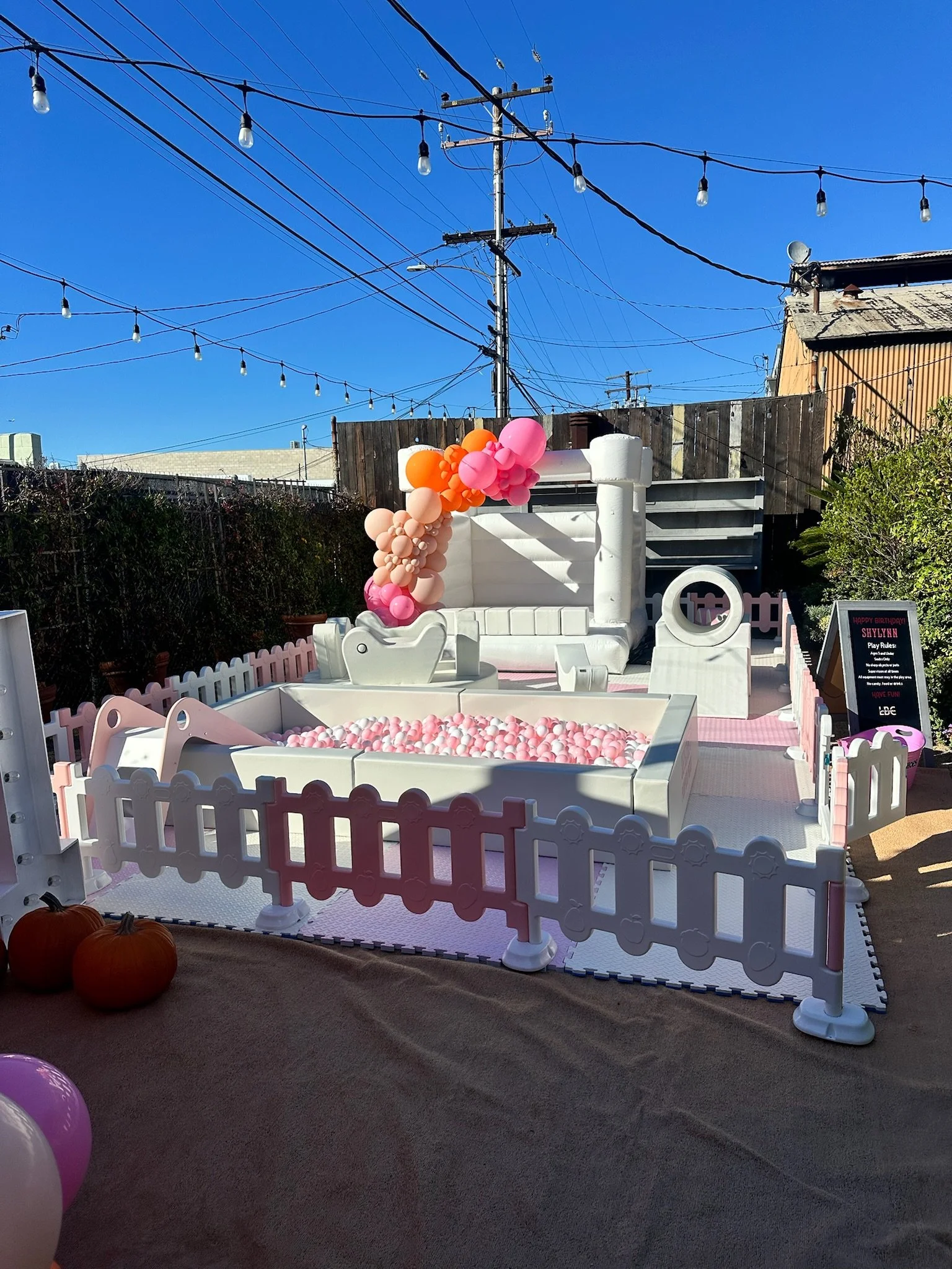 B50394D3-C205-4D1D-B237-1AAF49B3FCA8IMG_2203 copy.JPG