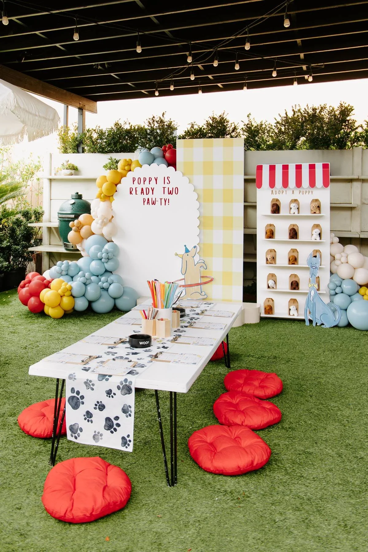 Wandering Free Photography