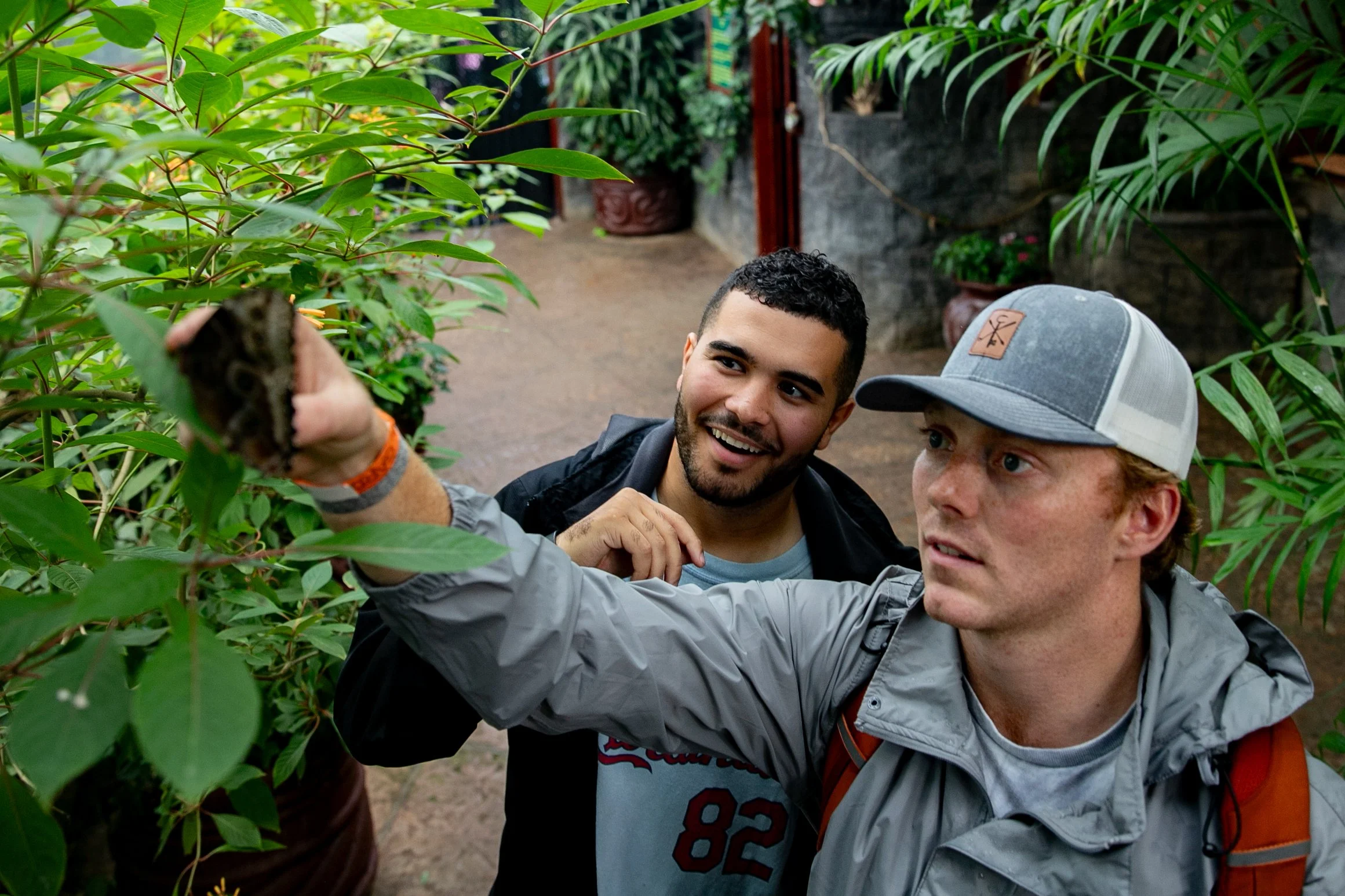 Two men examining plants in a greenhouse, one pointing at a plant, surrounded by green foliage.