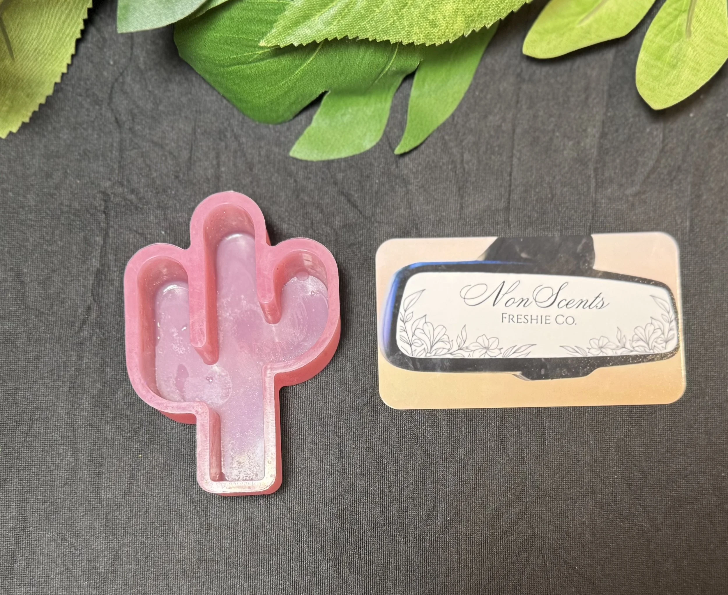 Cactus Vent Clips (2)