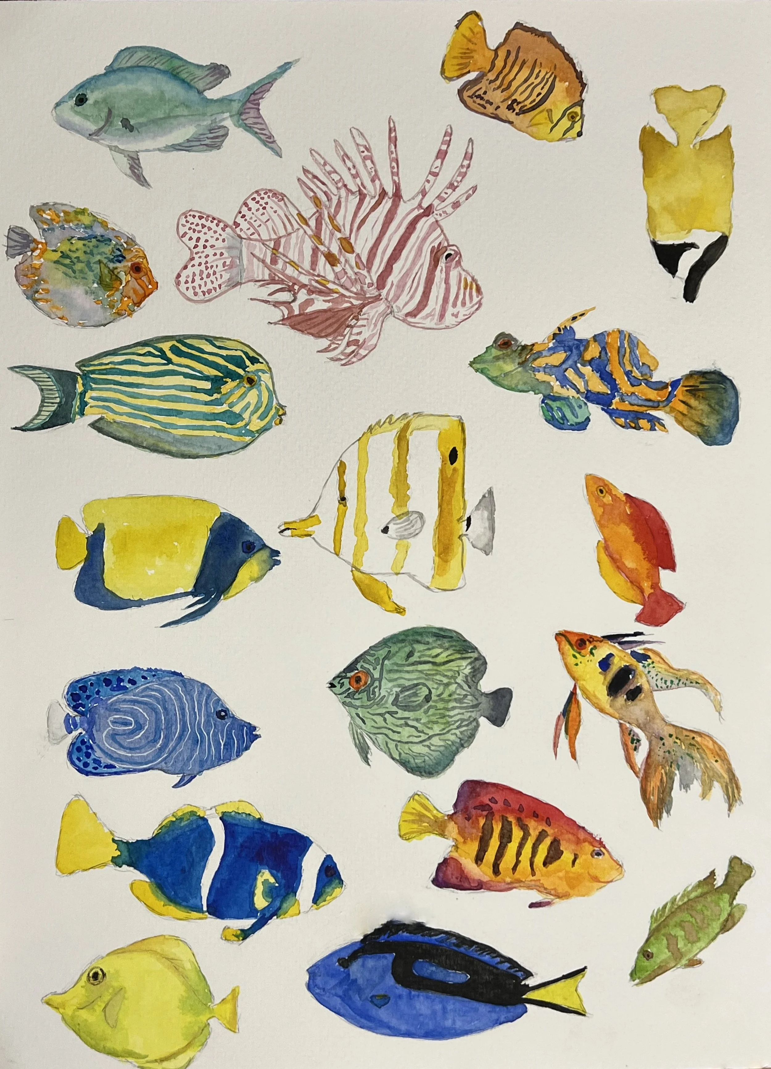 fish painting.jpg