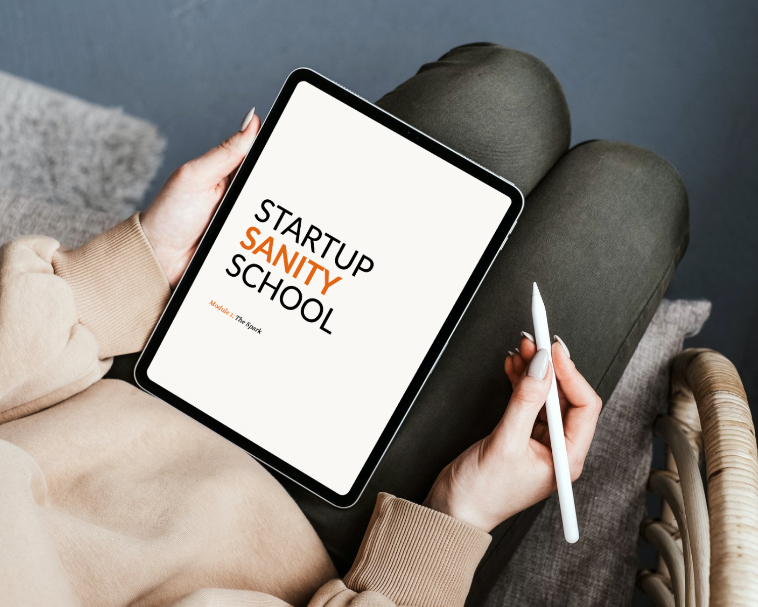 Startup Sanity School