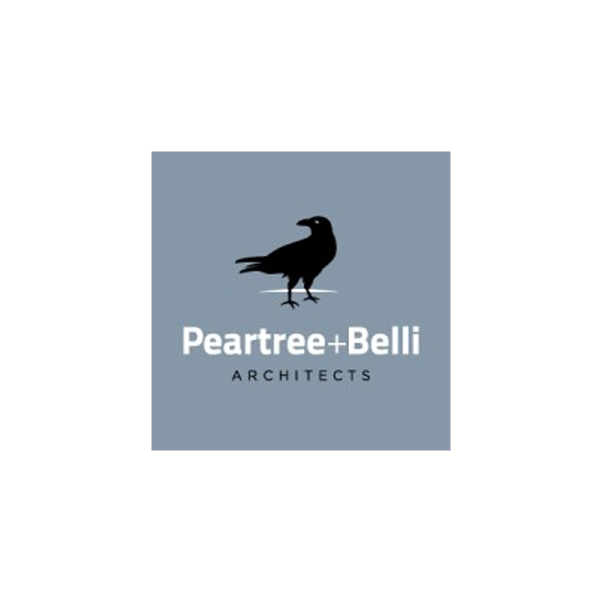 Logo for Peartree+Belli Architects featuring a black bird silhouette on a gray background with white text.