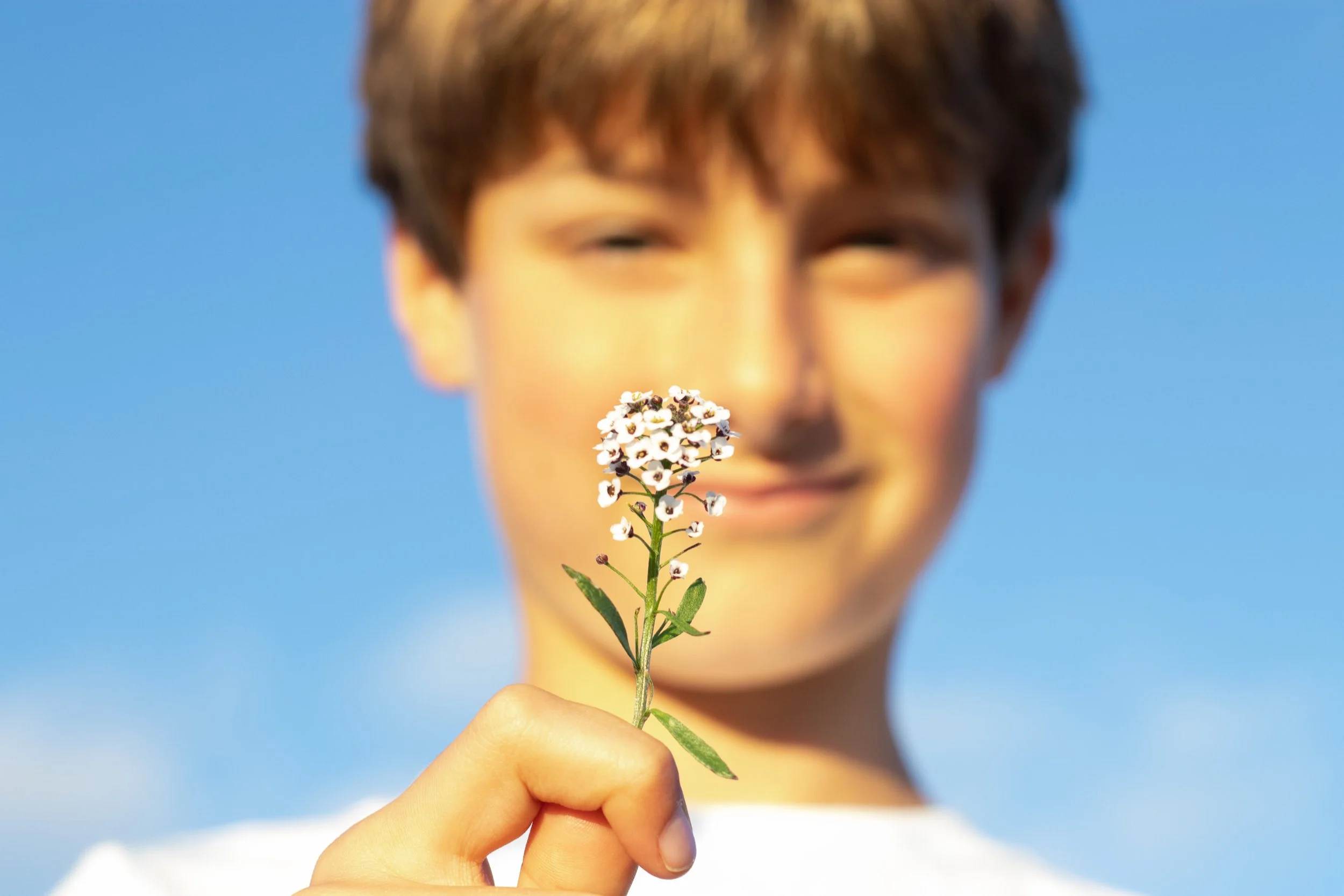 Everyday Magic: Popular At-Home &amp; Backyard Activities to Photograph