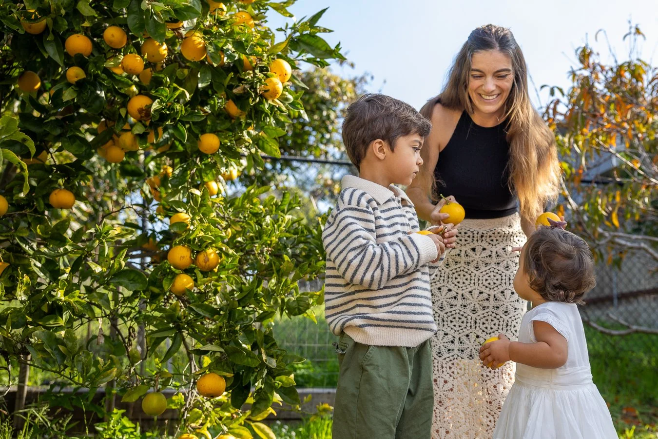 A woman and two children picking lemons from a lemon tree in a sunny backyard.