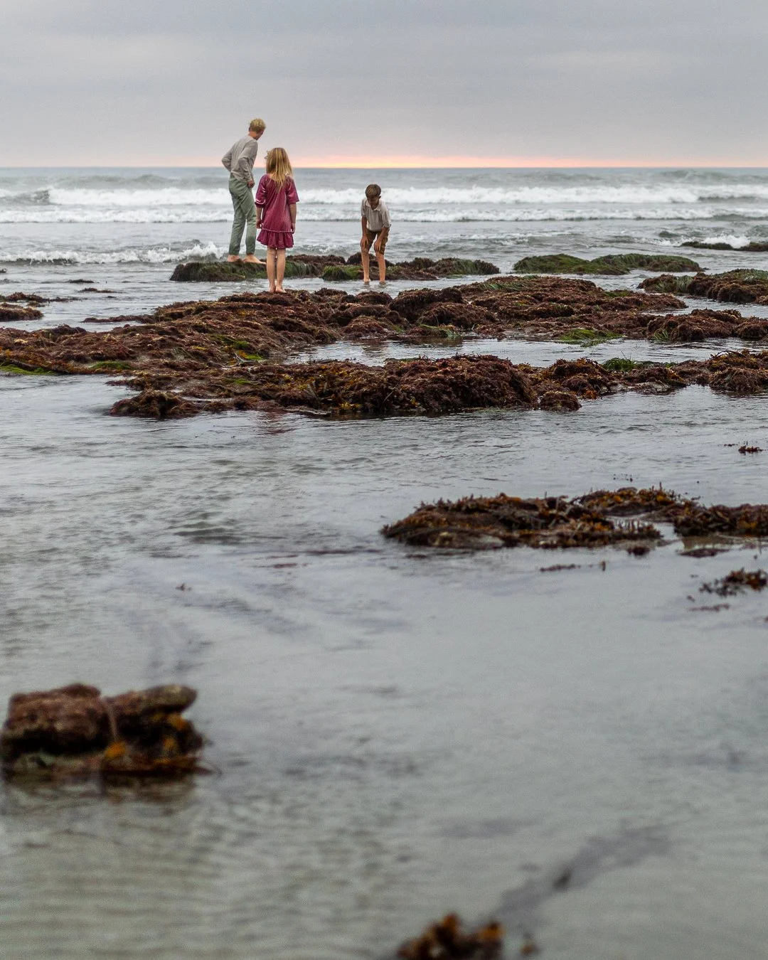 A group of four children playing on rocky tide pools at the beach during sunset.