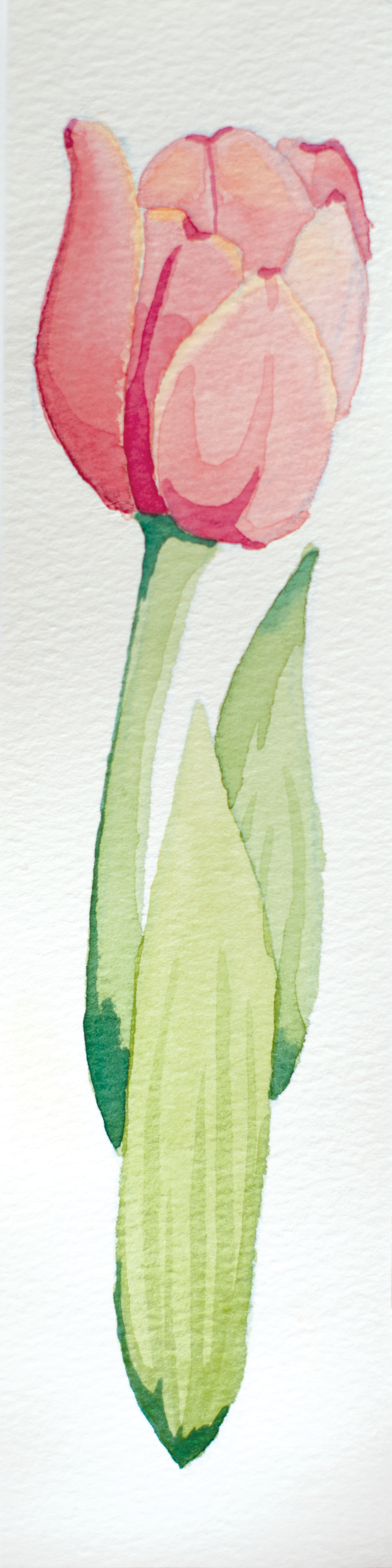 Tulip_Bookmark_March2026.png