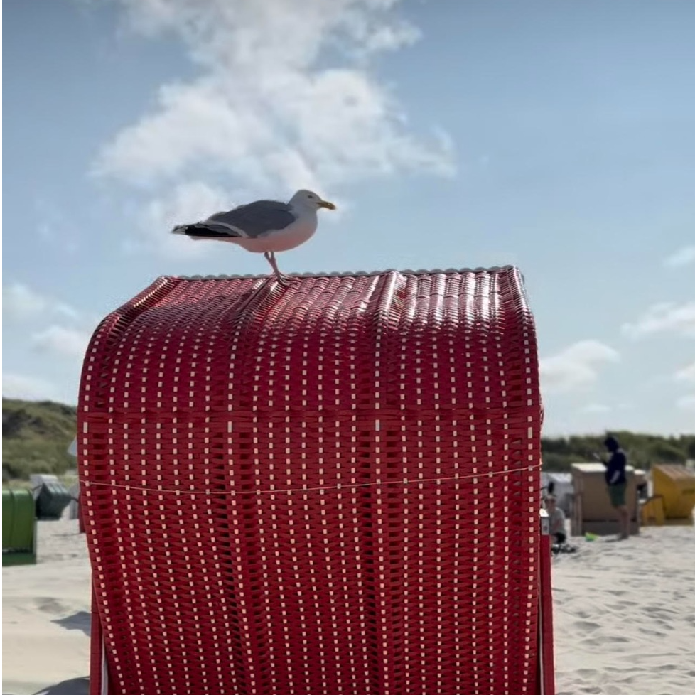 Ostfriesische Insel: Juist | Wie klingt Ruhe? 50 Quiet Places auf der Erde | Condé Nast Traveller