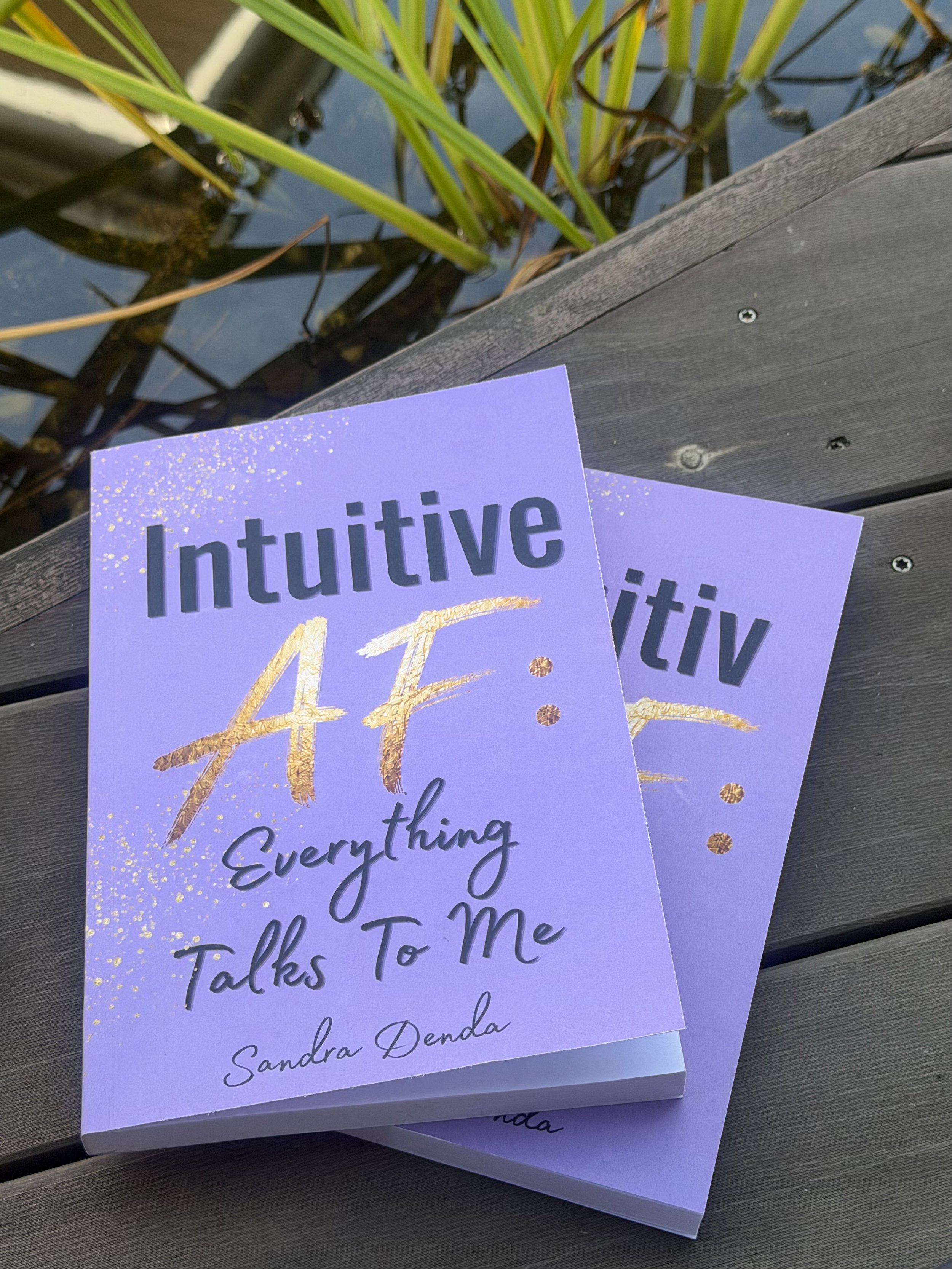 Two purple books on a wooden surface, with the top book titled 'Intuitive 4:4 Everything Talk To Me' by Sandra Denda, partially visible. In the background, there is water with green reeds or marsh plants.