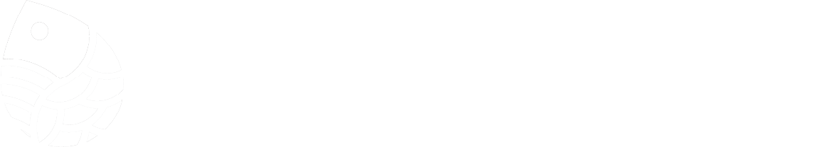 The Salmon Restoration Project