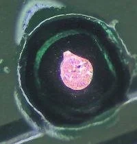 Nintendo Switch DAT0 solder point under microscope