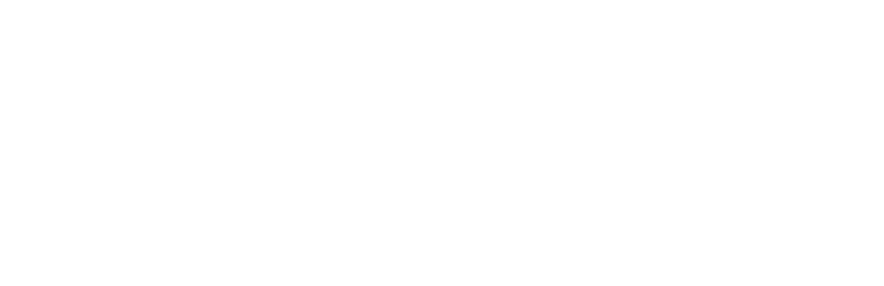 The Optimist San Diego International Film Festival Audience Choice Award laurels