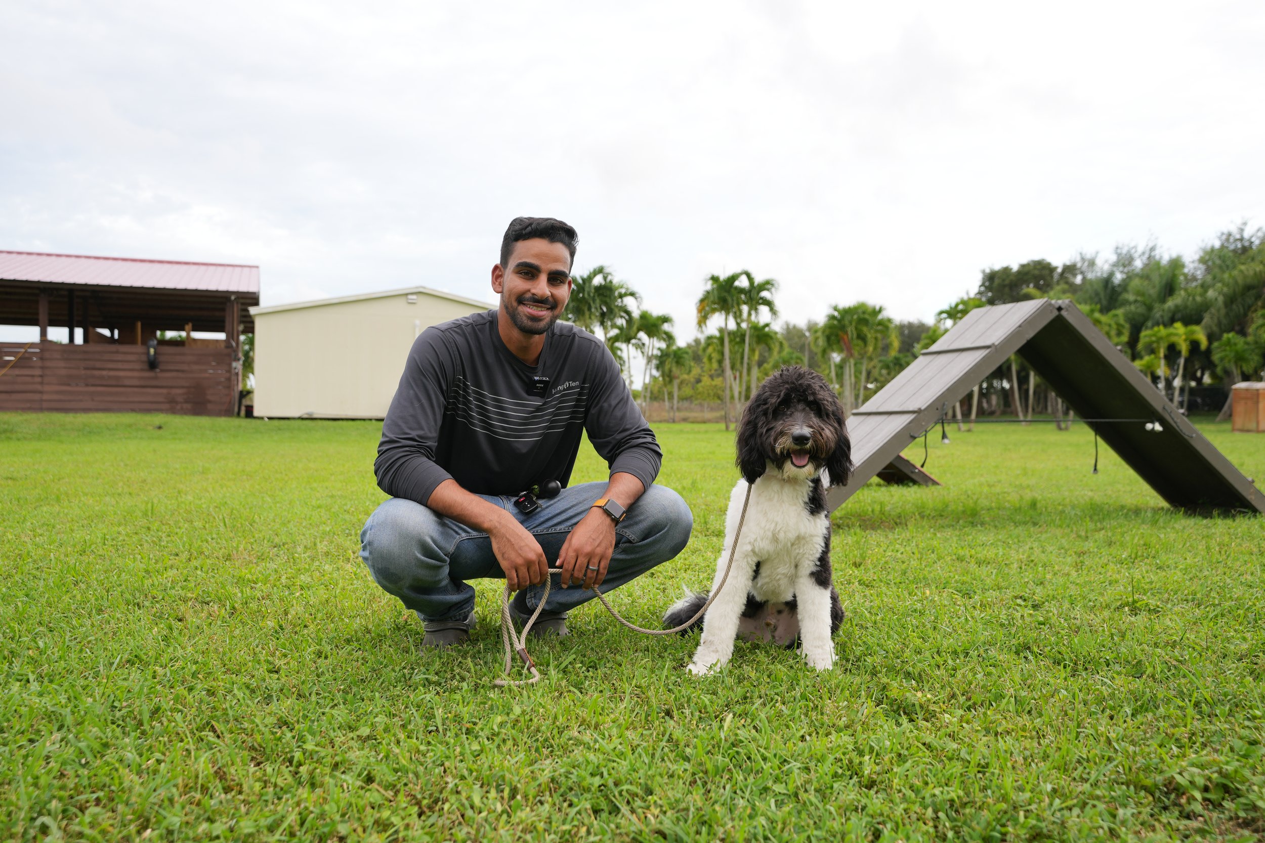 A man kneeling on grass holding a leash attached to a black and white springer spaniel dog, outdoors in a park with agility training equipment and palm trees in the background.