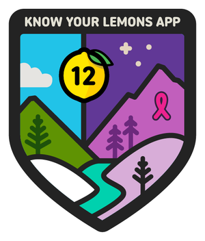 12+months+badge.webp