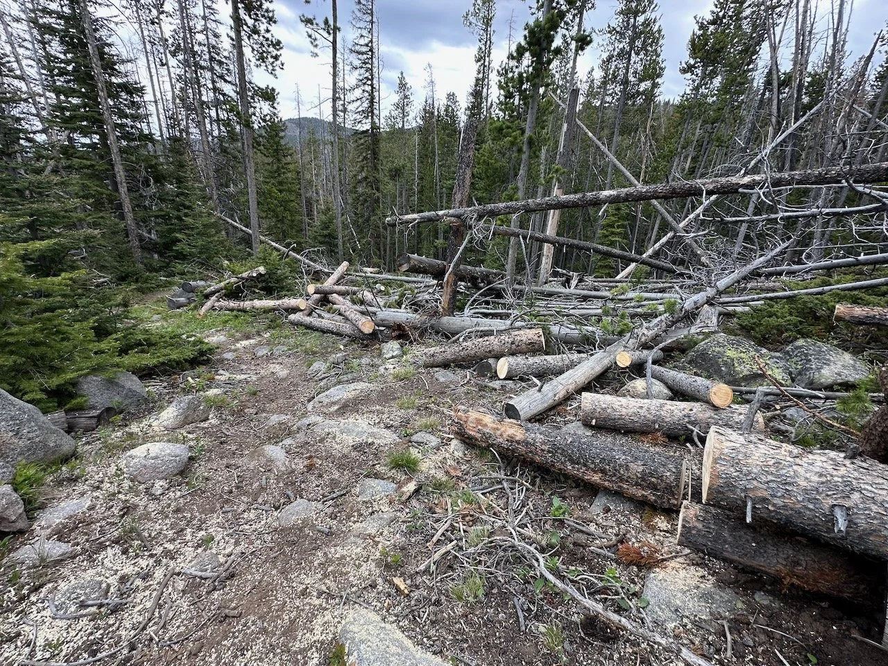 Clearing trail in Butte