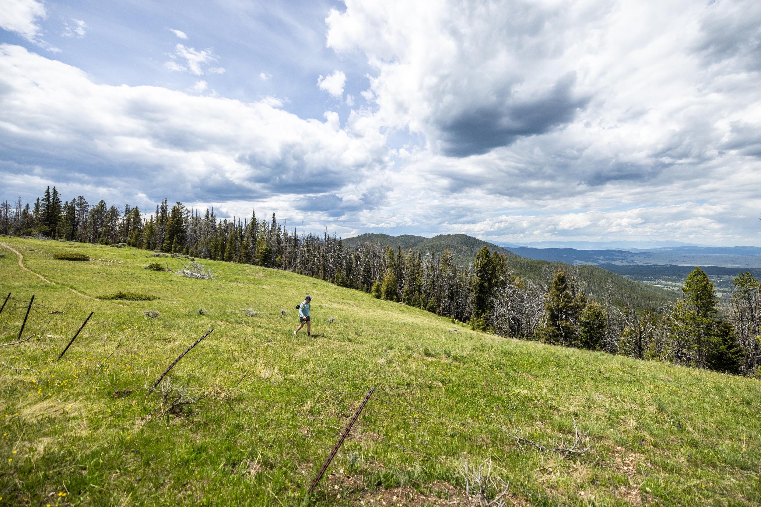 A lone trail runner crosses a wide green hillside beneath dramatic, cloud-filled skies, with pine forests and rolling mountains stretching into the distance.