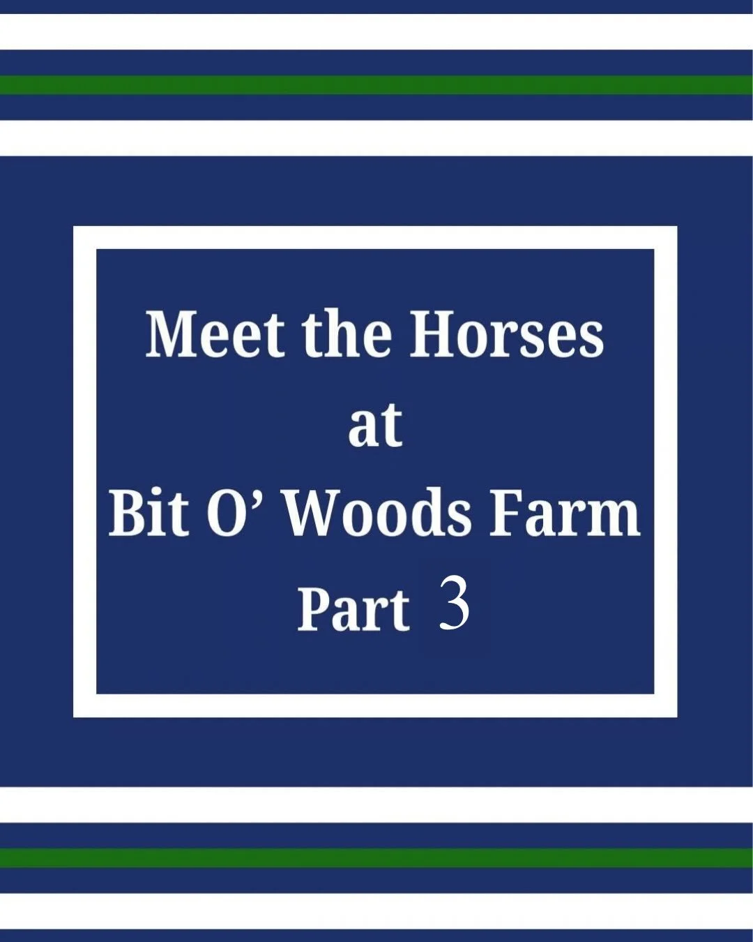 As the weather is getting colder, let&rsquo;s introduce the rest of our ponies at BOW! 

#bitowoods