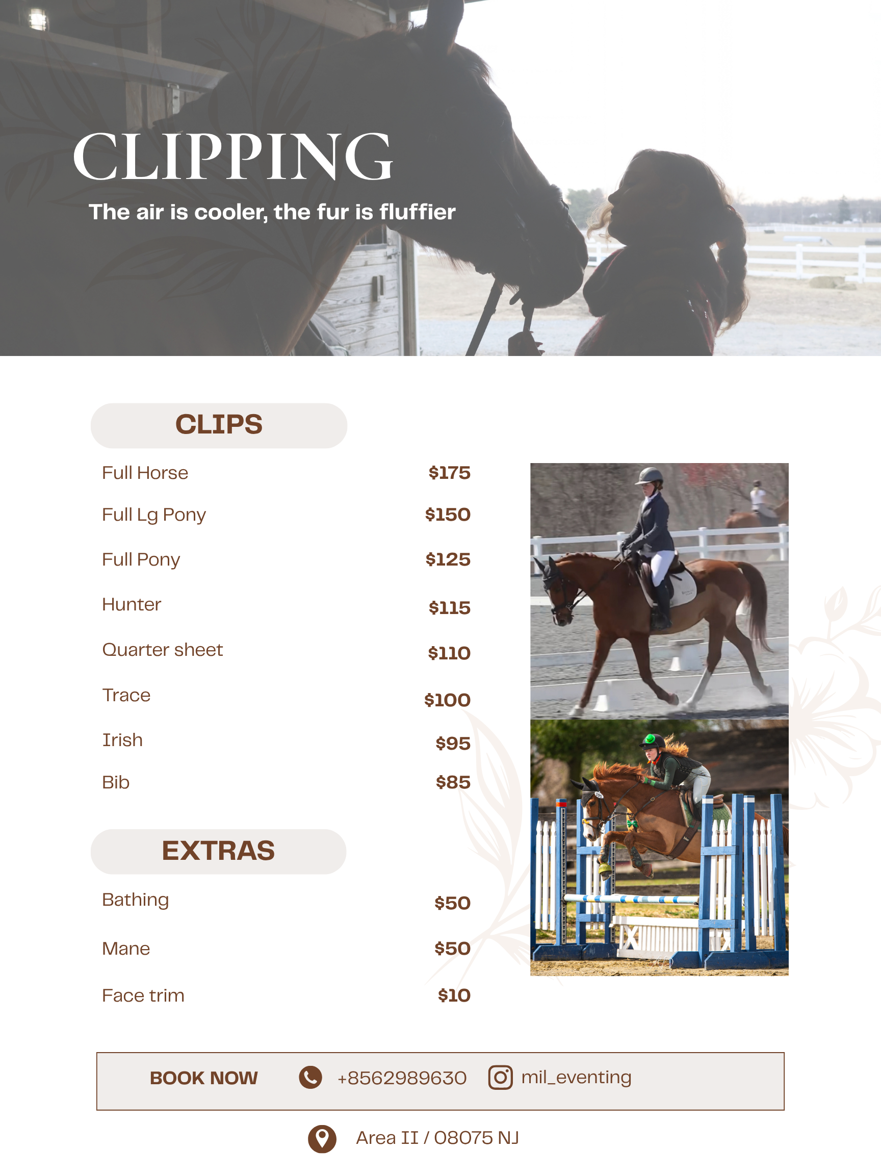 Clipping_Original.png