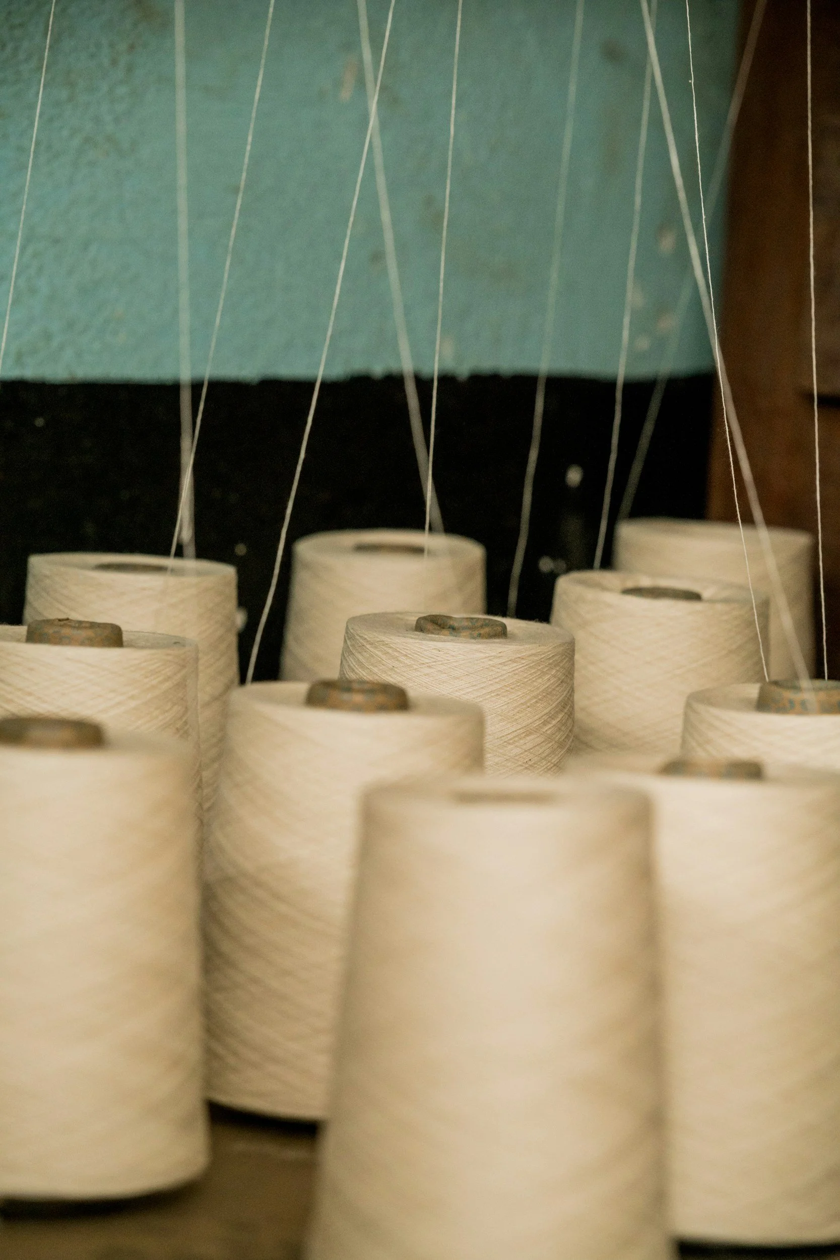 Multiple spools of white thread are standing upright on a surface, with some strings hanging from above. The background includes a textured surface and a blue-green fabric.