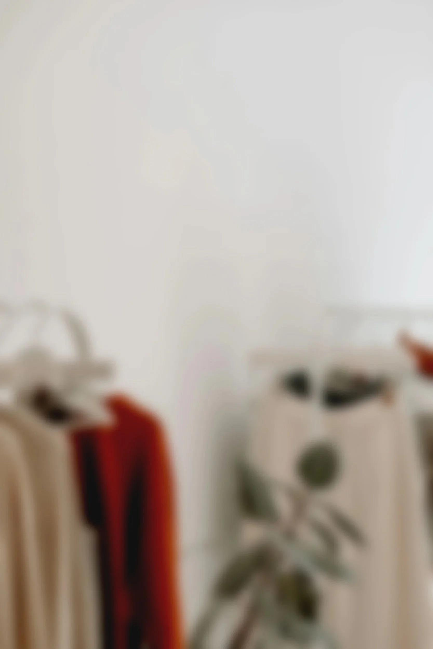 Blurred photo of a white wall with a vertical line of towels or fabrics hanging, with an indistinct potted plant nearby.