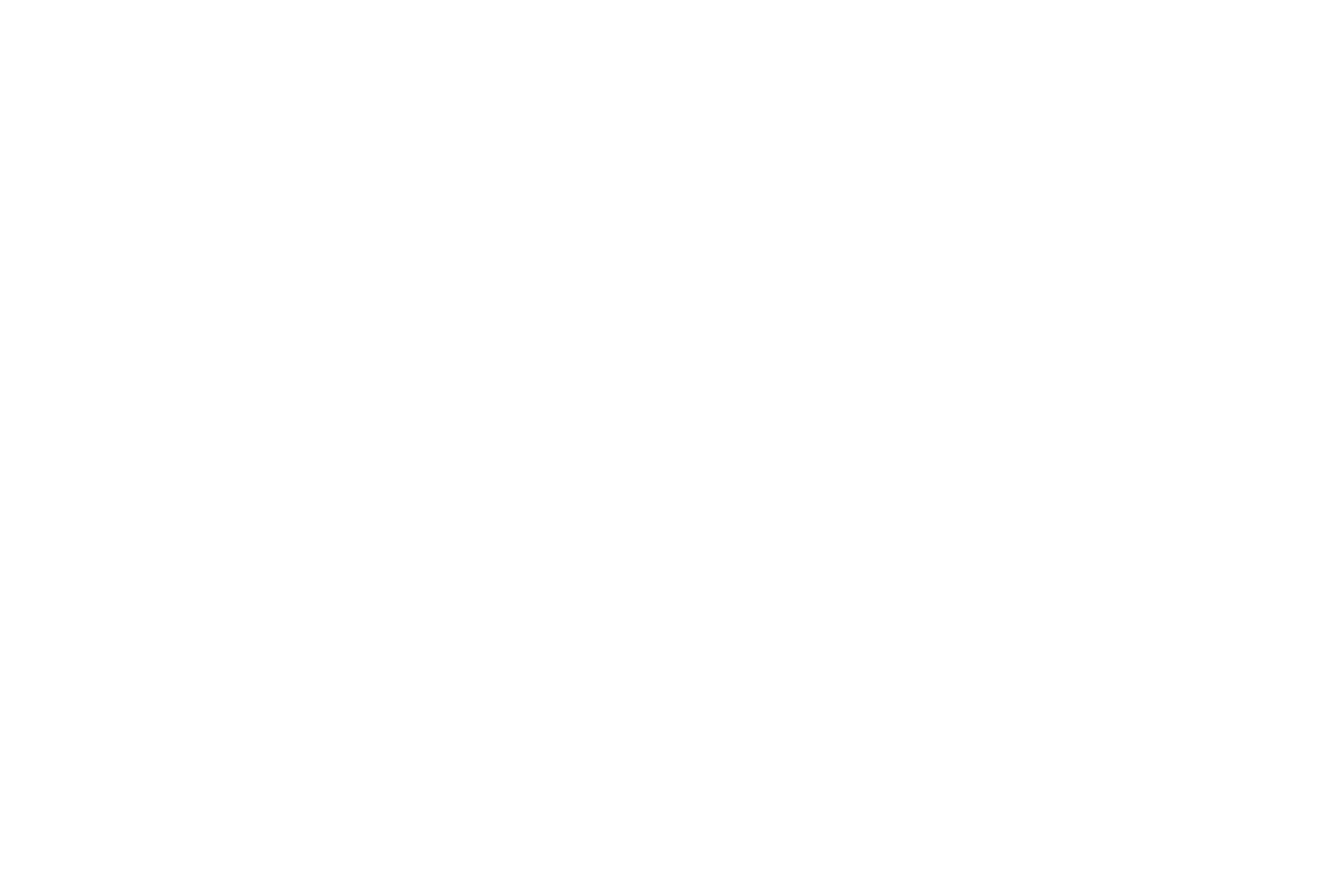 Connor Skates
