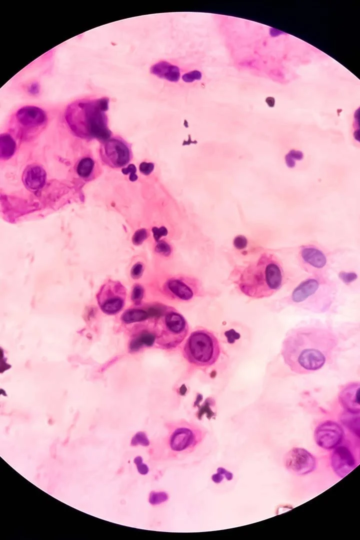 One2One Environmental Asbestos Services Beverley Anthrax Testing.jpg