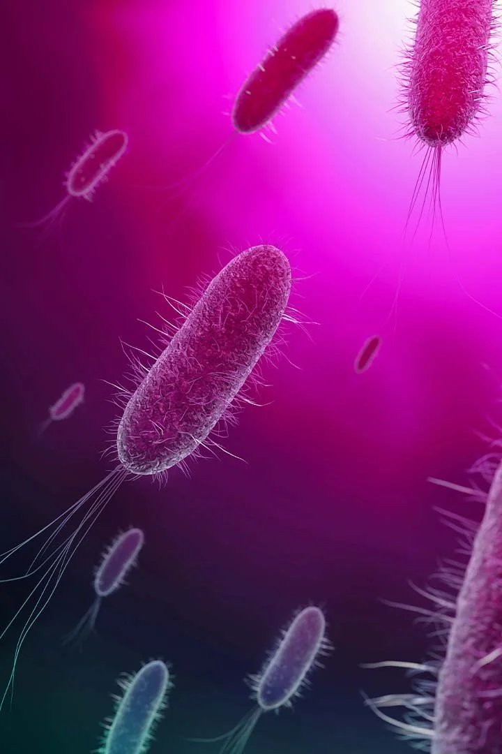 One2One Environmental Asbestos Services Beverley Legionella Testing.jpg