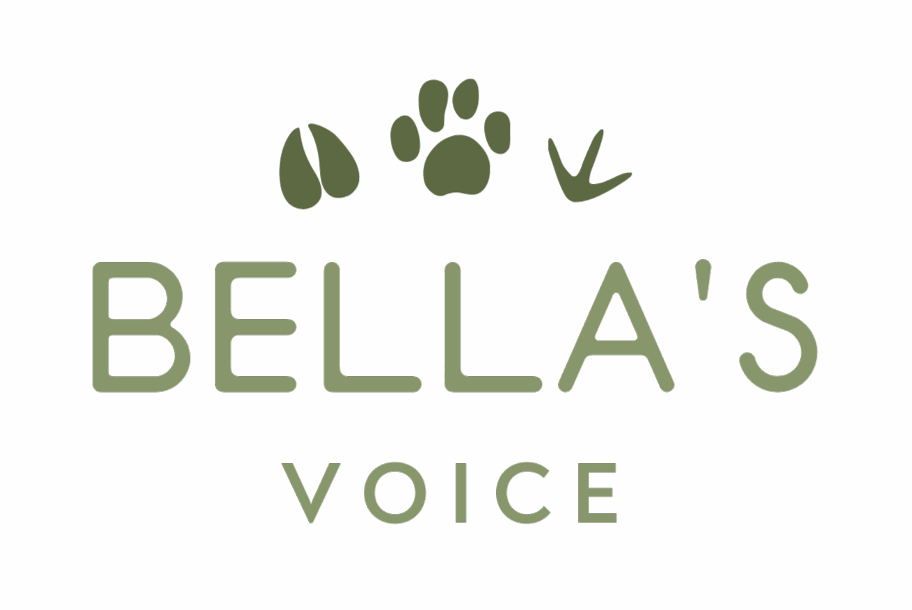 Bella's Voice ANNI-FUR-SARY