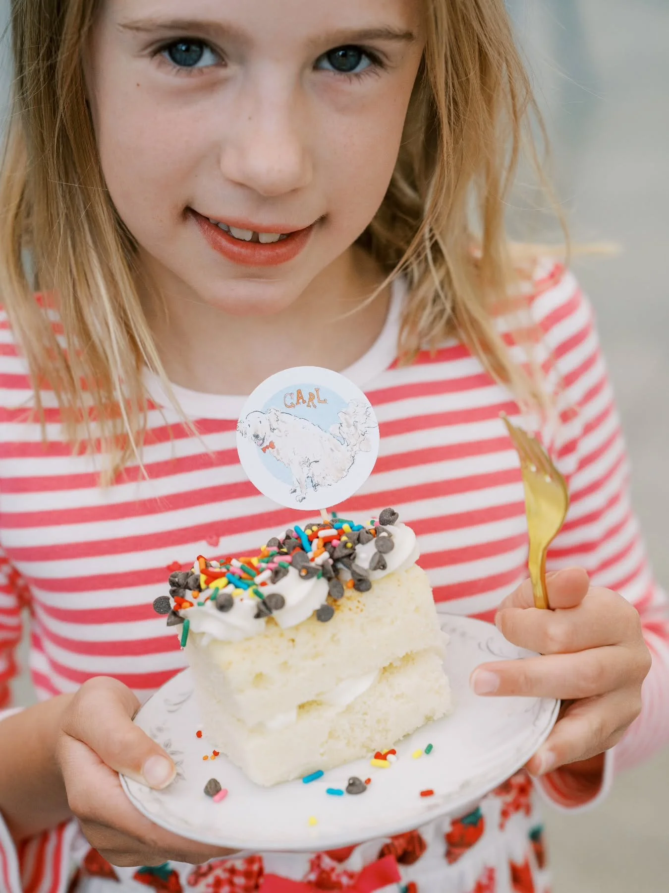 Extra sprinkles and chocolate chips are always a crowd pleaser.
.
.
.
.
#cakealacarte #cakecart #dessertcart #columbuscakecart #ohiocakecart