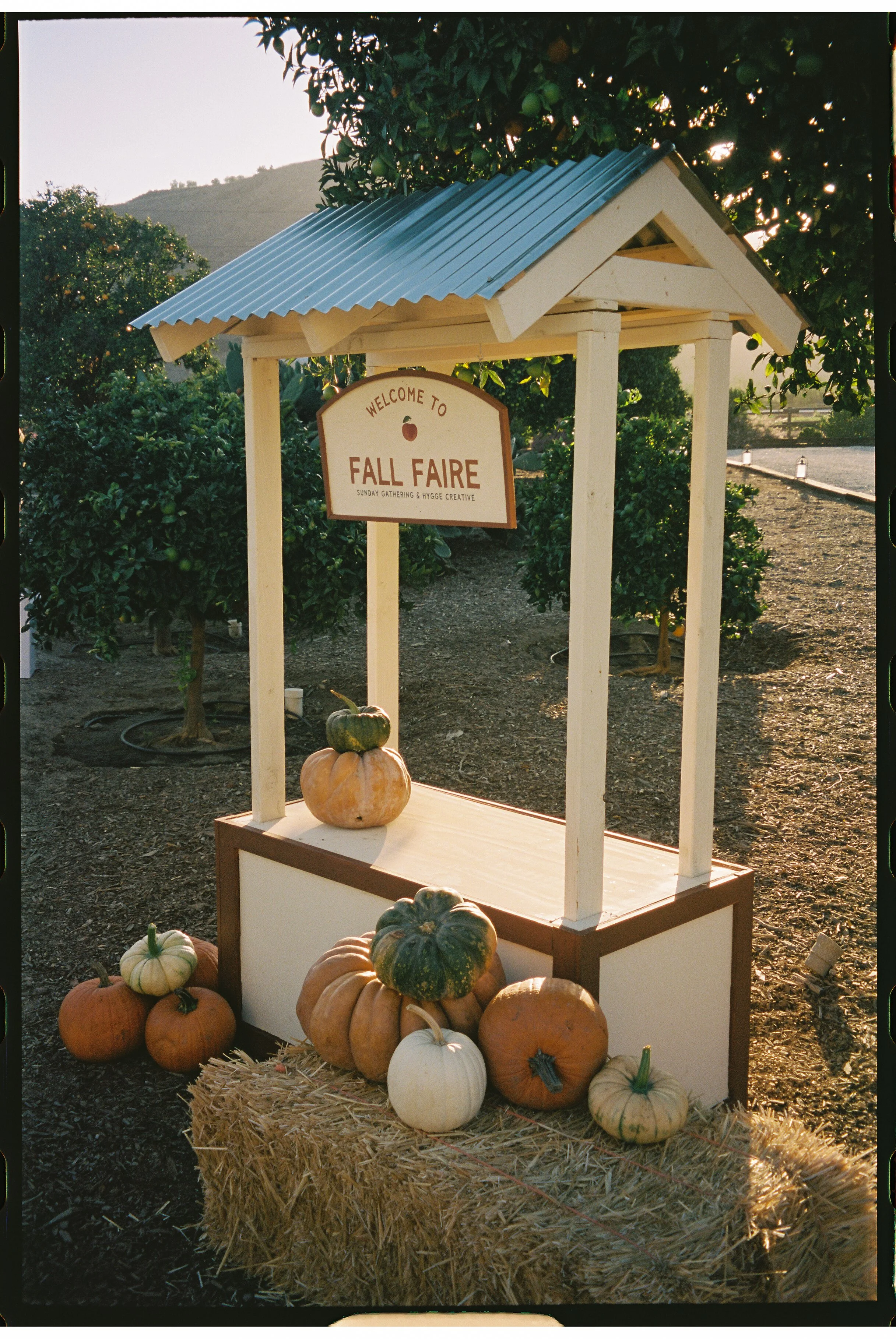 99913391-176203 2.JPG