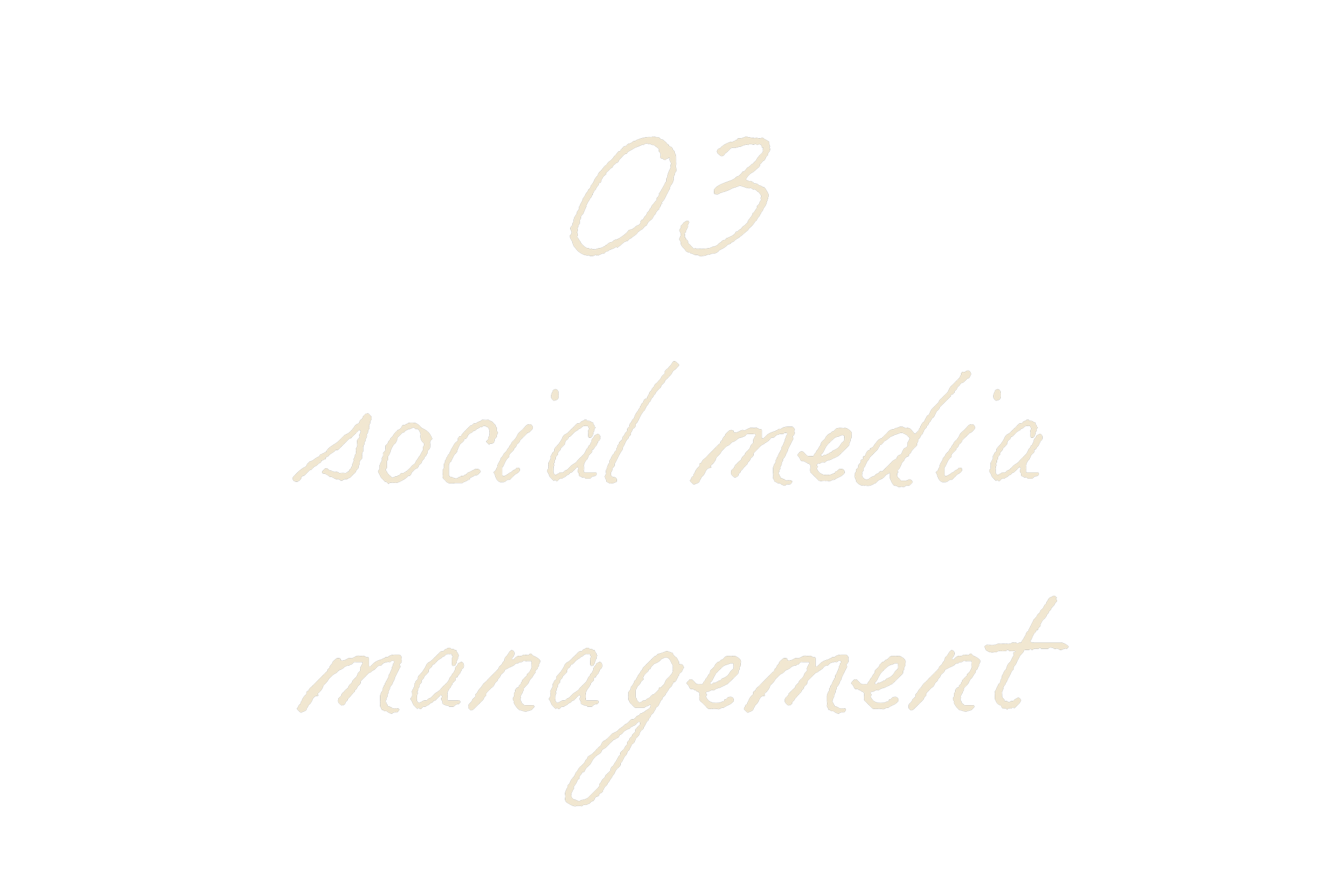 Text reading '03 social media management' in elegant cursive font on a black background.