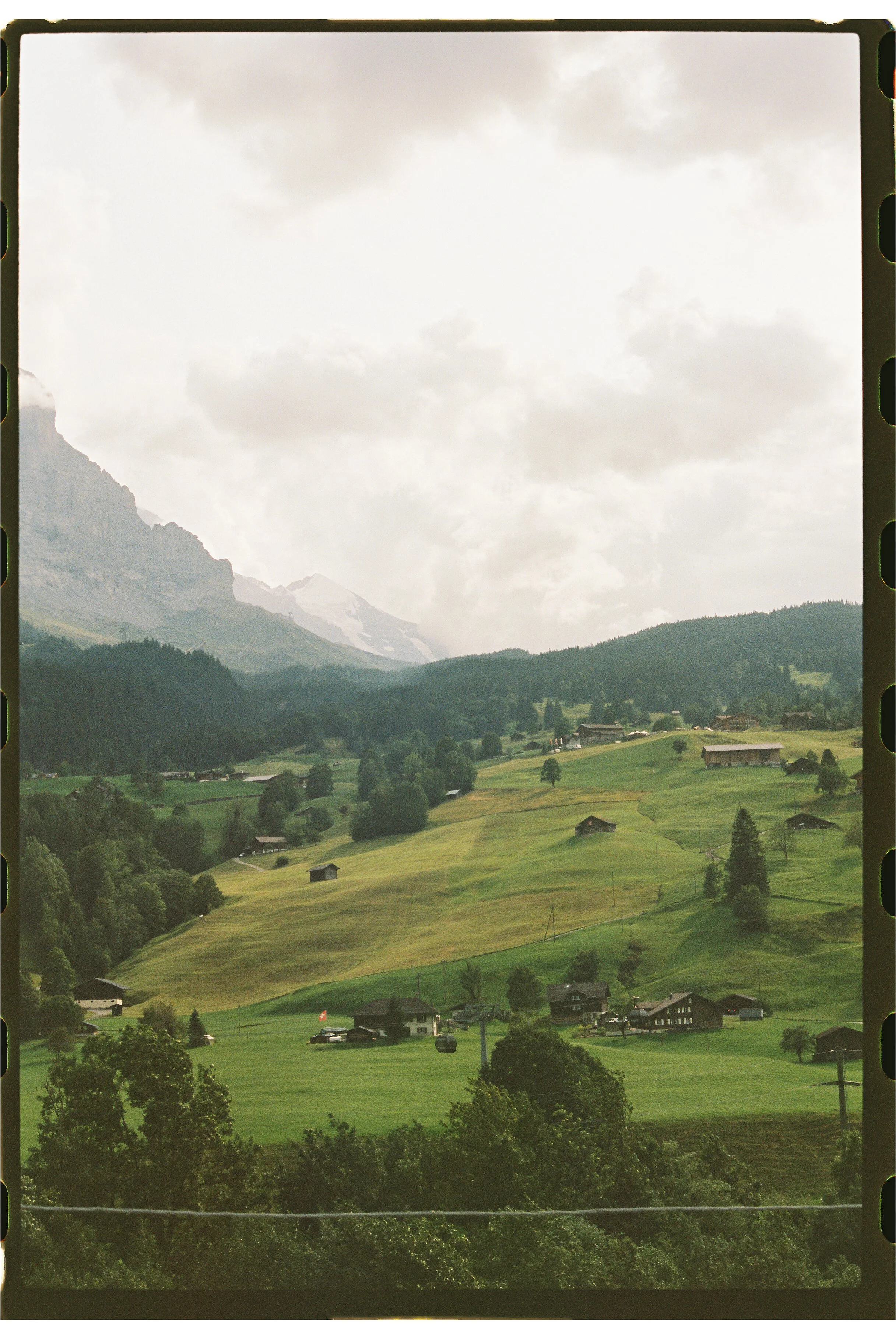 99913053-93335 2.JPG