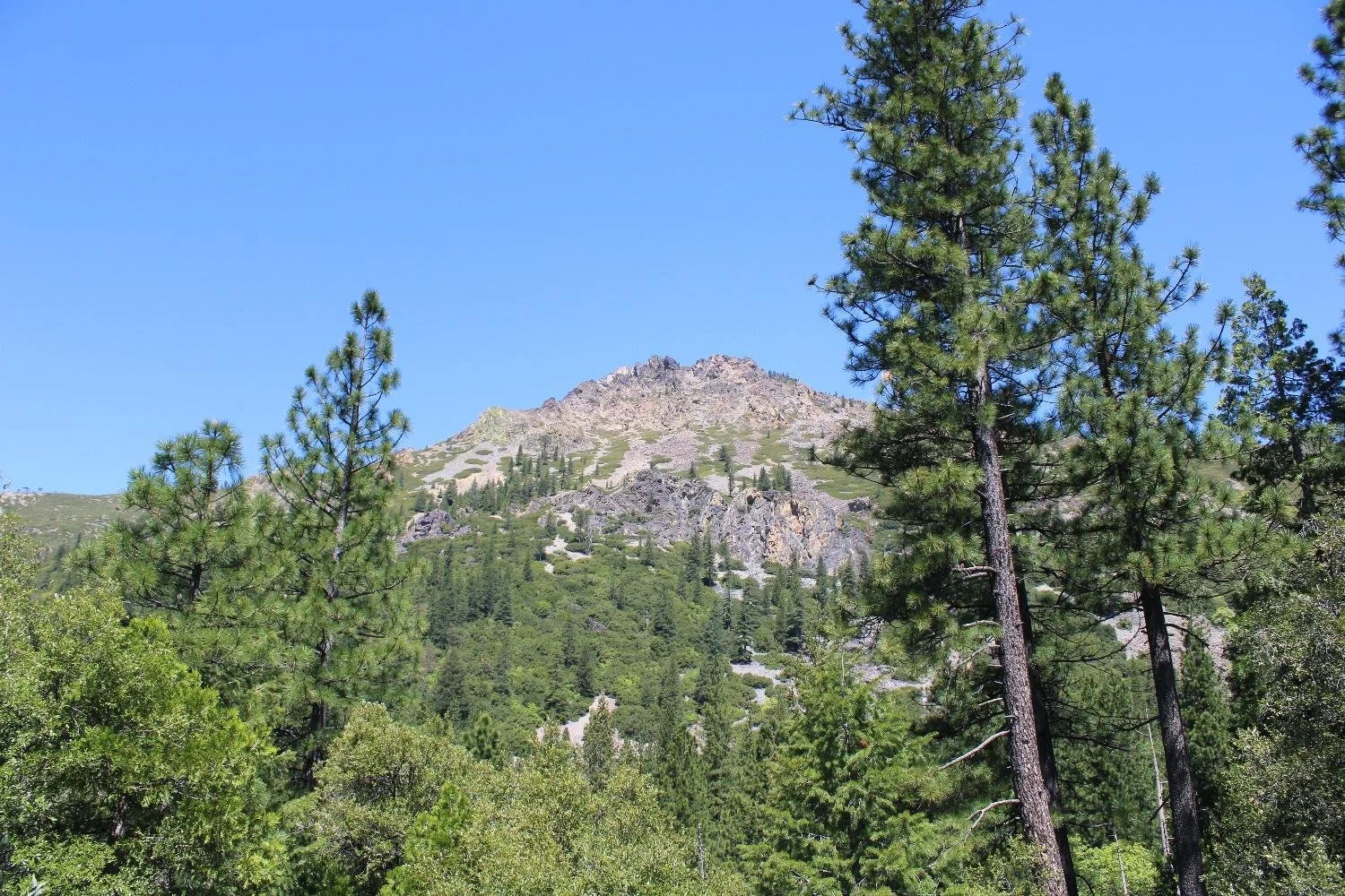 558 Brady Dr. Sierra City, CA