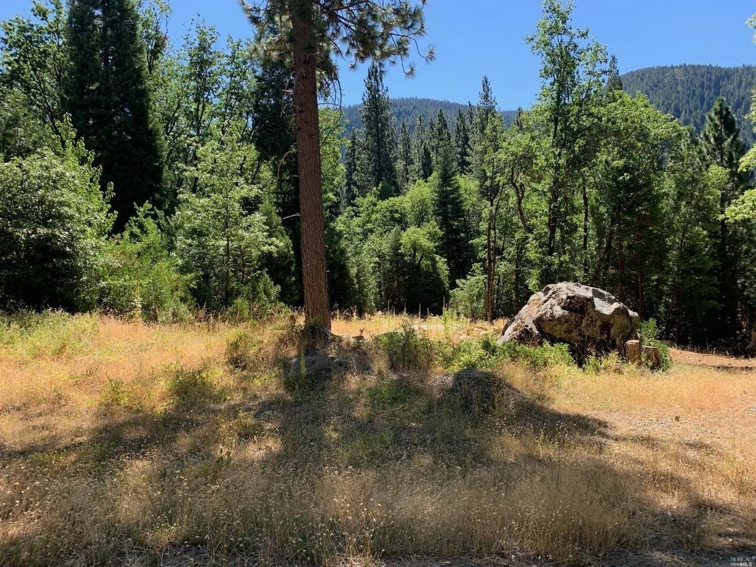 103 Lewis Ln, Sierra City