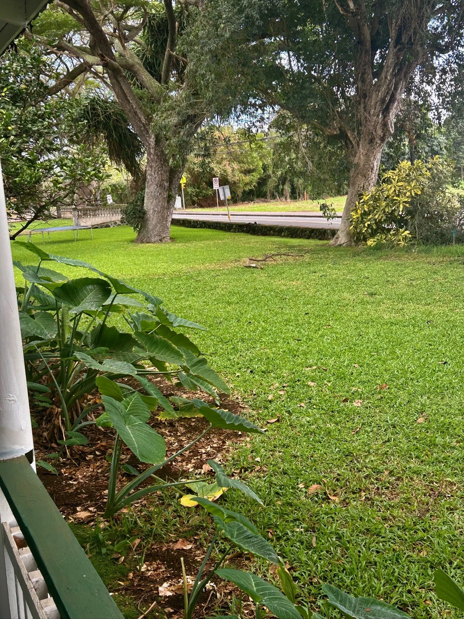 Blick auf den Vorgarten