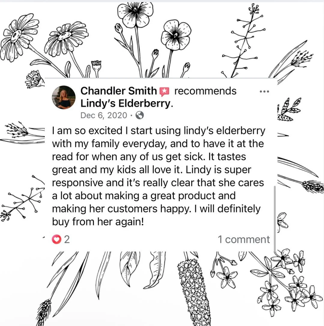 Black and white botanical line drawing with various flowers, leaves, and plants surrounding a social media review of Lindy's Elderberry.