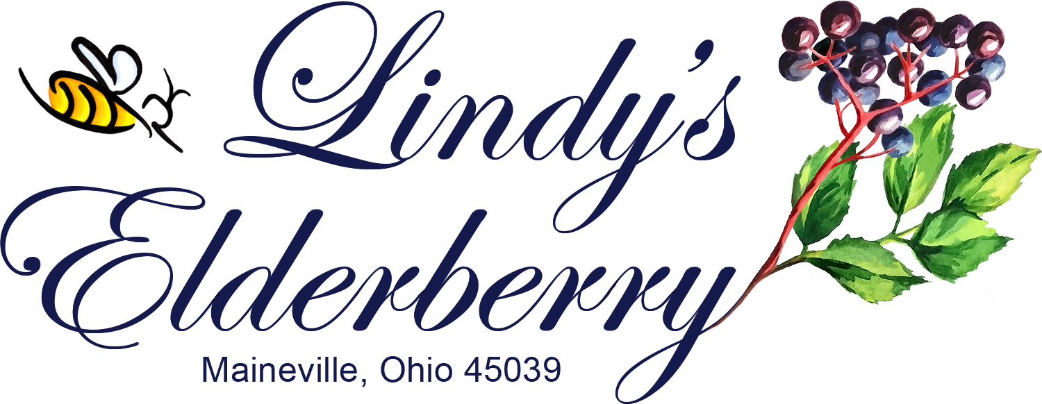 Lindy&#39;s Elderberry