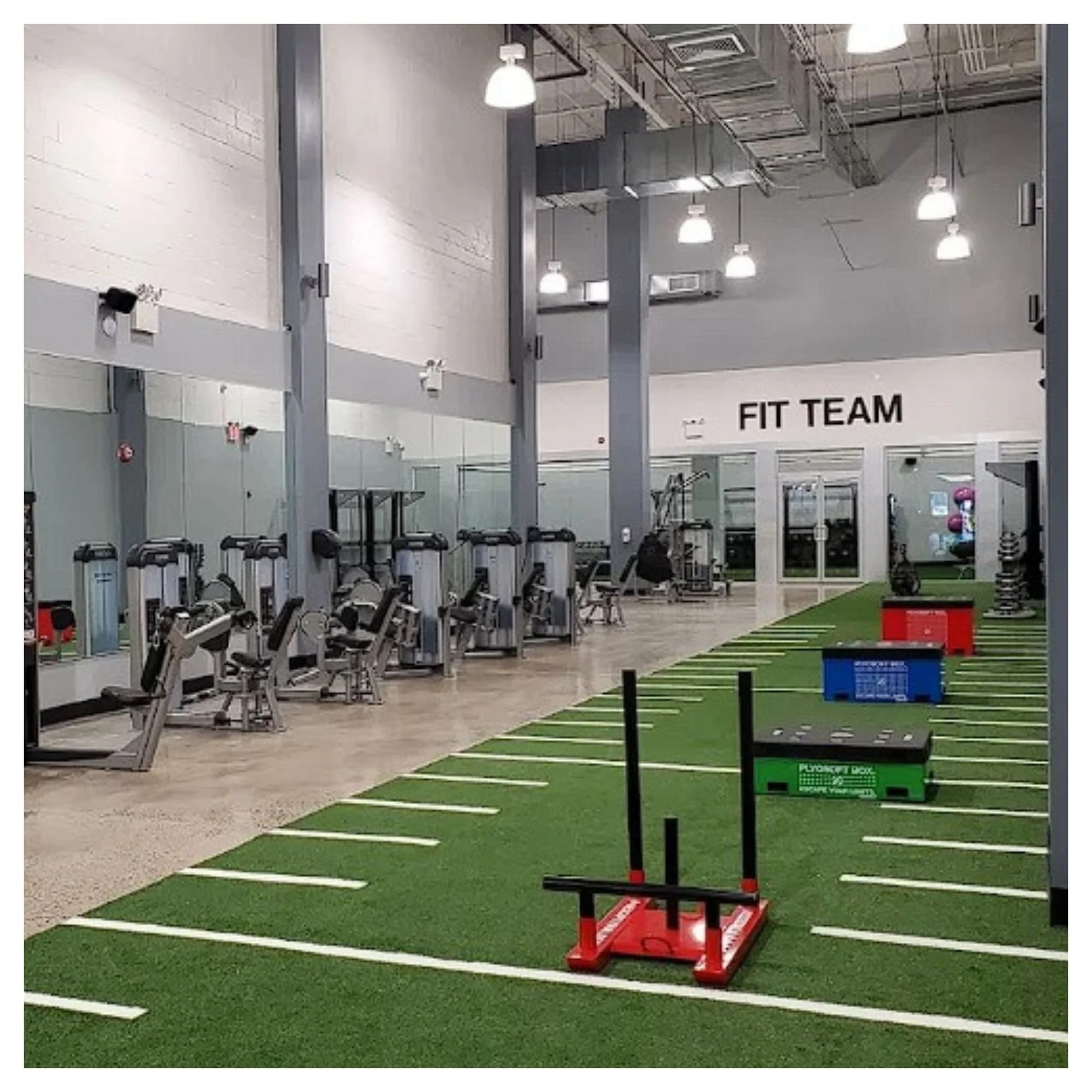 Untitled design (5).jpg